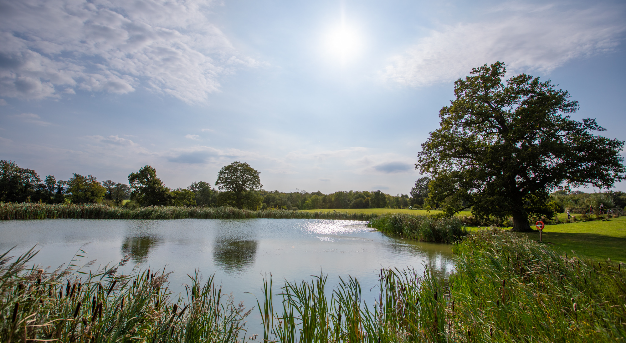 Sunlit view over the lake